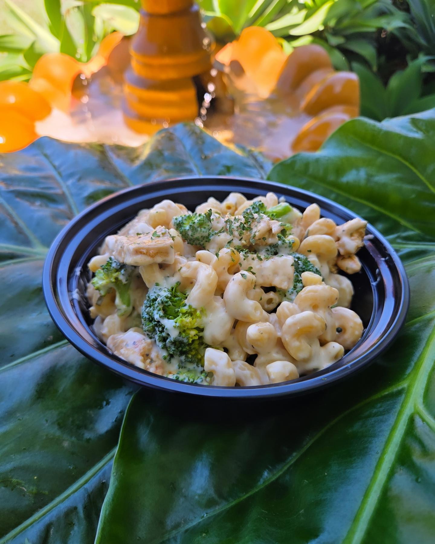 Chicken Alfredo