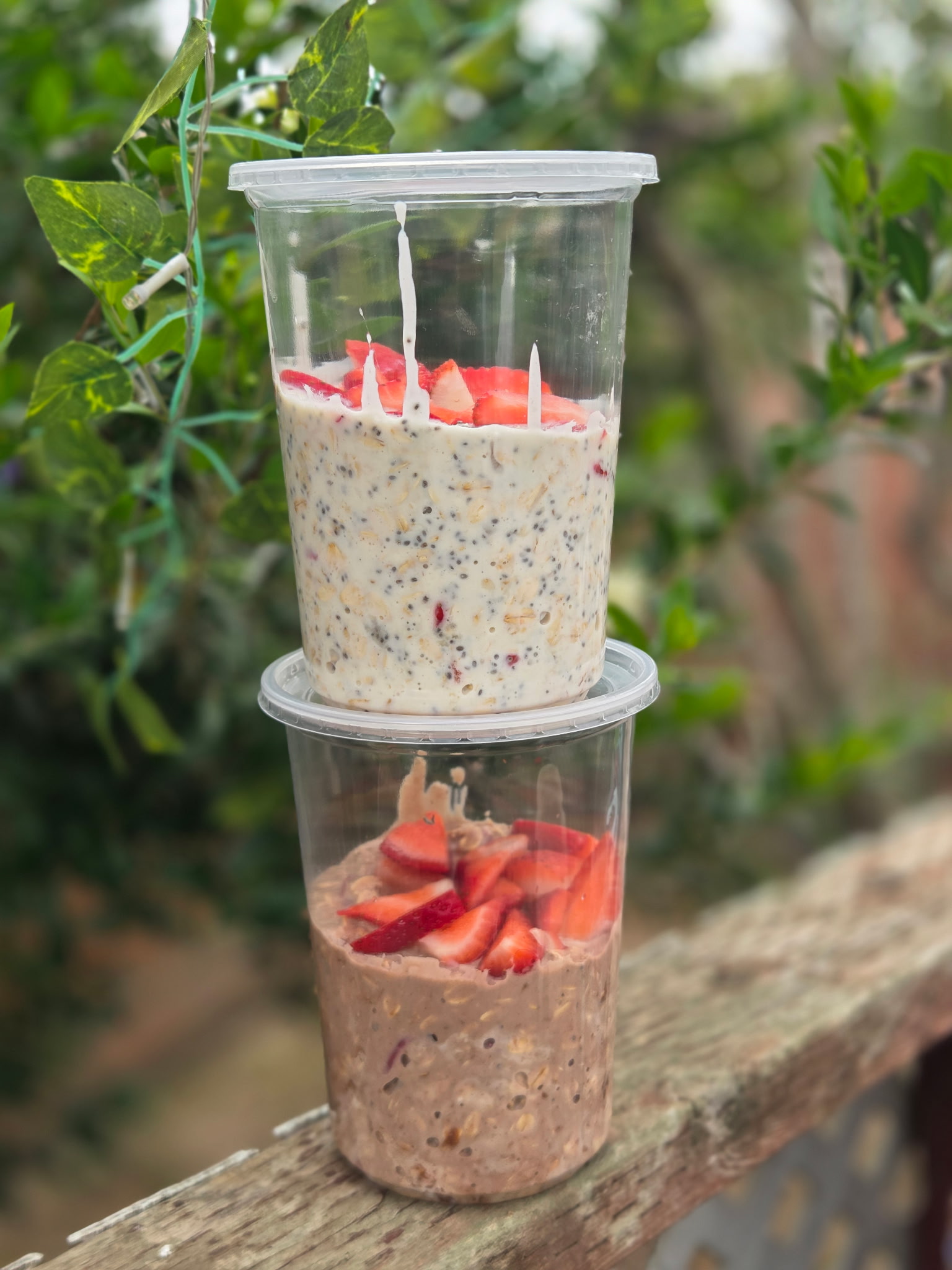 Protein Overnight Oats with fresh fruit, Santa Maria CA
