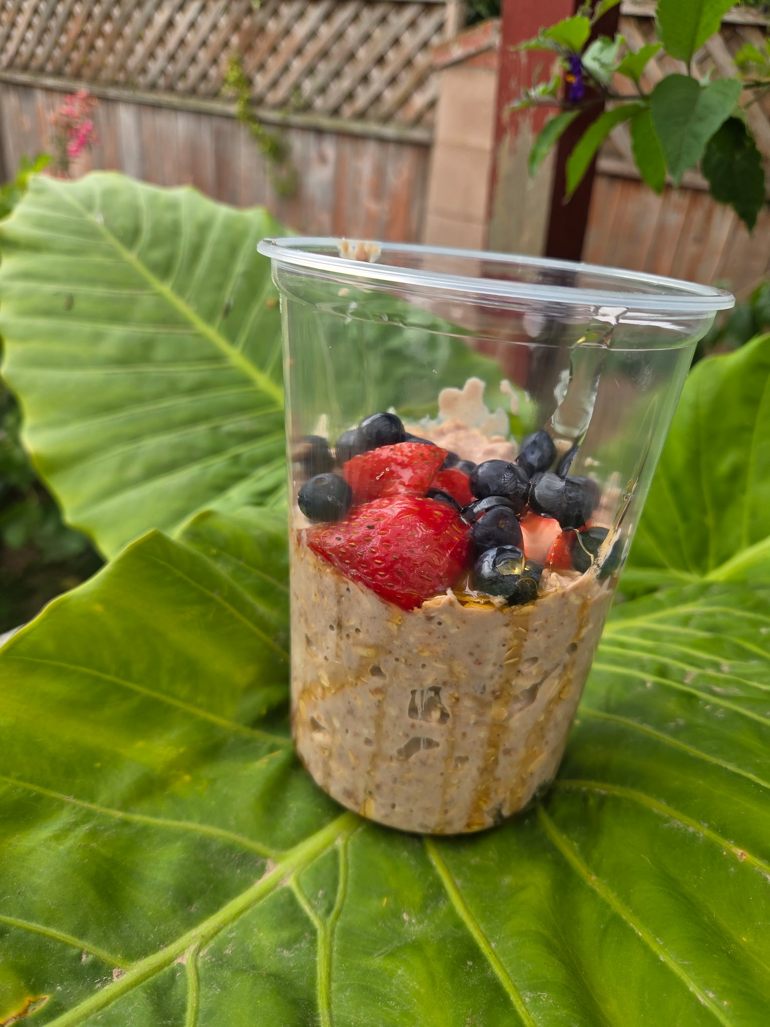 Protein Overnight Oats with strawberries, Santa Maria CA