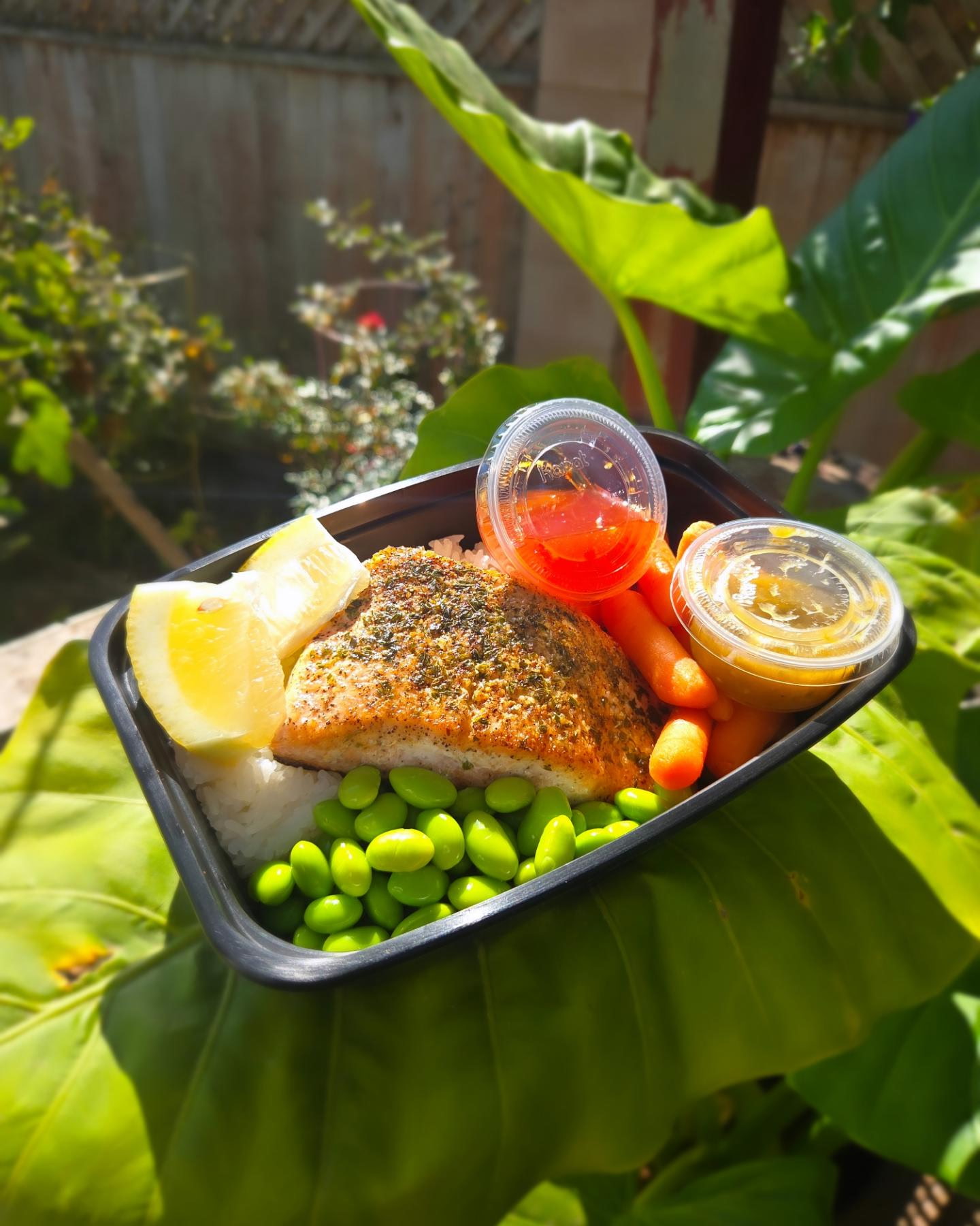 Salmon Bowl