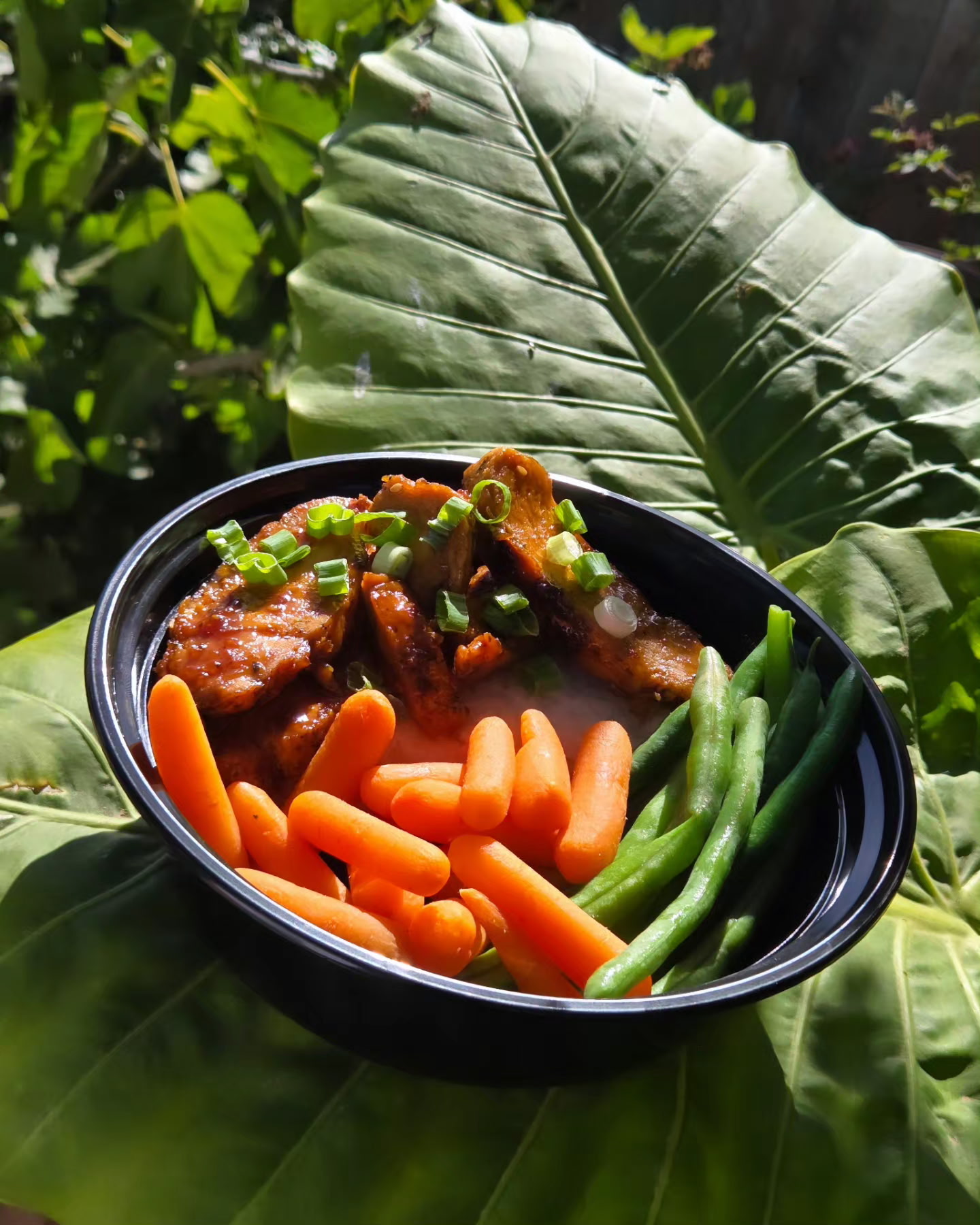 Chicken Teriyaki